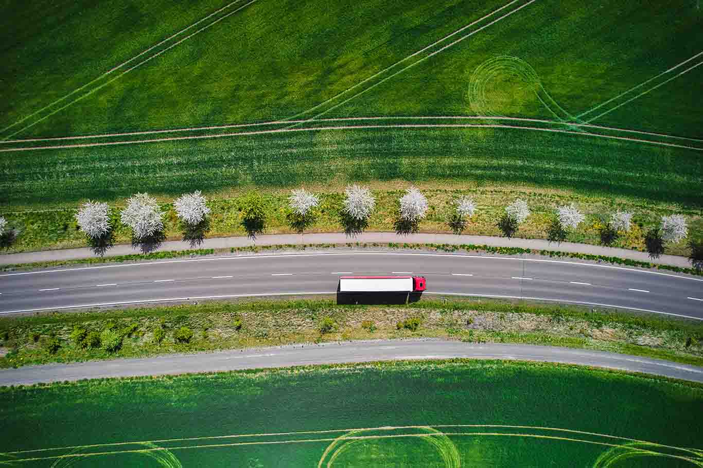 turck on highway surrounded by green